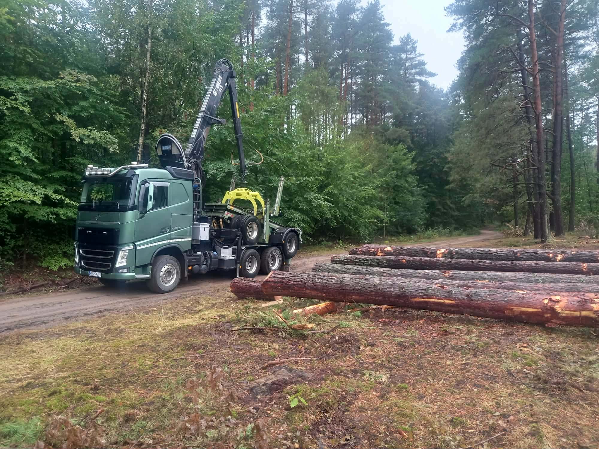 Skup Lasów prywatnych, drewna pozyskanego