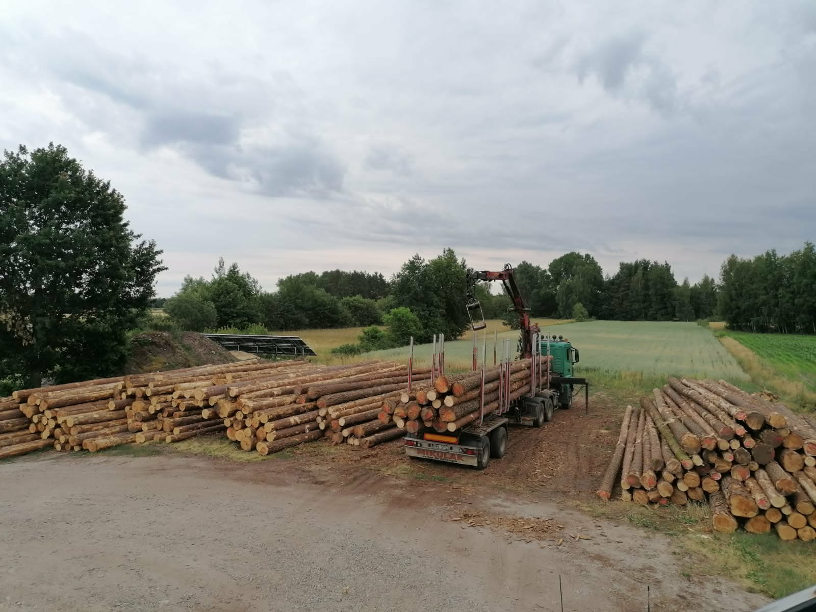 OBRÓT I HANDEL DREWNEM